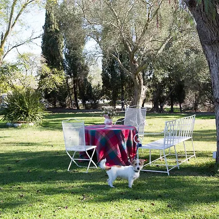 Cortijo Rural La Mariscala * חרז